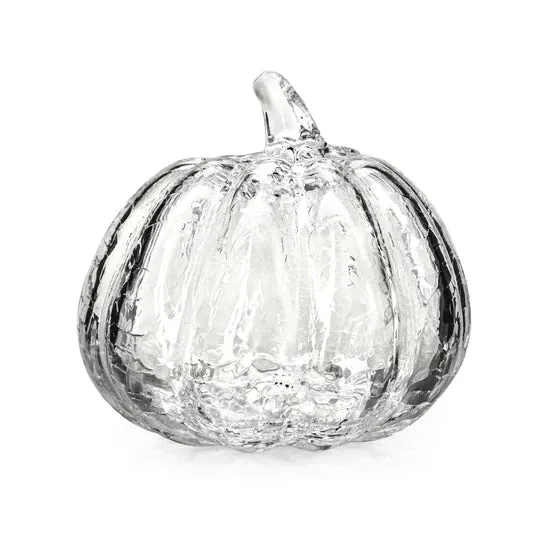 Crackle Pumpkin - M - 2nd